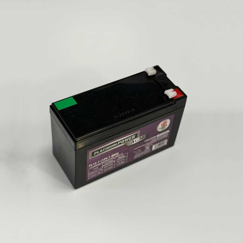 Battery 12 Volt Plus Multi & RT6